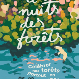 Nuit des Forêts