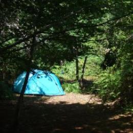 Camping Aire Naturelle La Pinède - Sanguinet