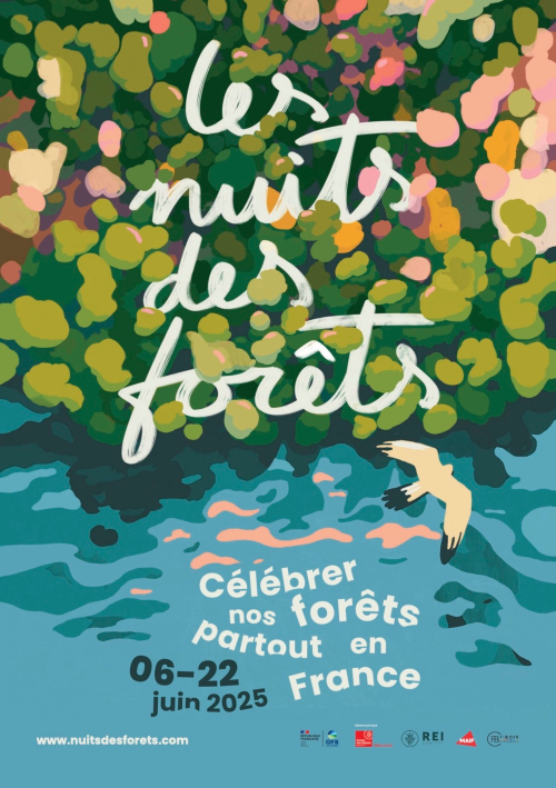 Nuit des Forêts