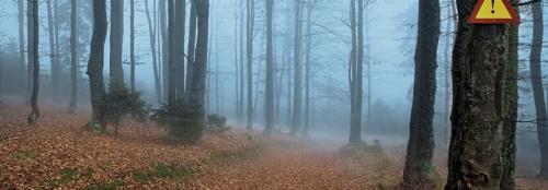 Danger forestier