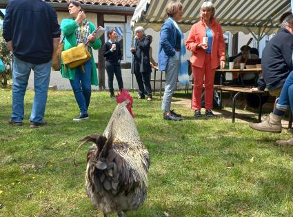 Coq Atelier Bouricos