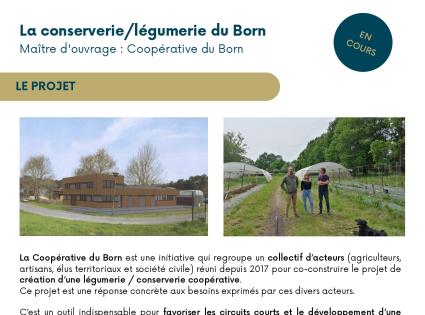 Fiche coopérative du born