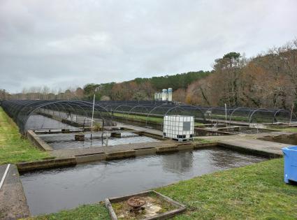 Séminaire itinérant Lévignacq 9